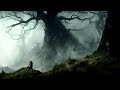 eerie woods | dnd rpg fantasy ambience music | dark forest atmosphere