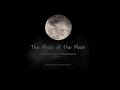 The whole of the moon ( Waterboys cover )