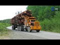 The Day Hayes Transported a GIANT 76-Meter Log to England - The Story of Hayes Trucks