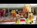 20190216 Ha Chui Kin Lion Dance