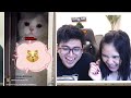 YAKIN BISA TAHAN TAWA LIAT INI !?? WKWKWK - Reaction Demik Animal #8