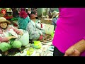 Du Lịch Mũi Né Phan Thiết, Chợ Hàm Tiến Cá Bóp TO CHÀ BÁ | Bãi Rạng Siêu Đẹp Tại Bình Thuận