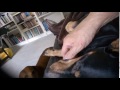 Dachshund Seppel's Cuddle Time..