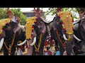 ആനനടയും അന്നനടയും!!🤩 #kerala #festival #travel #village #elephants #trending #malayalam