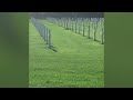 Normandie - OMAHA BEACH and U.S Cemetary