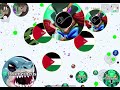 TRYING TO BE THE BEST 🇵🇸 (AGARIO MOBILE)