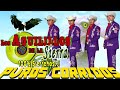 Los Aguilillos De La Sierra  +  Puros  Corridos Exitos Mix Para Pistear