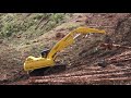 🌲🌲🌲 Best OF Logging 2019 🌲🌲🌲 Compilation