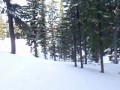 Just Some Skiing (Deshook)