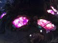VanDusen Festival of Lights - VanDusen Botanical Garden, Vancouver, BC, Canada