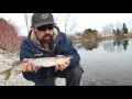 Toronto Urban Pike Shore Fishing