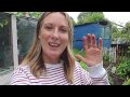 KEEP CALM AND CARRY ON / ALLOTMENT GARDENING FOR BEGINNERS
