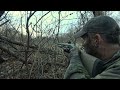 Already Shot? One Tough Gobbler!!! - Public Land Turkey Hunting