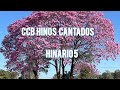 Hinos Cantados no Culto |  Salinha de Oração - HINÁRIO 5  CCB