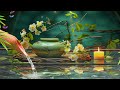 Healing Music for Anxiety Disorders , Reduce Stress, Calming Music, Meditation Music, Nature Sounds.