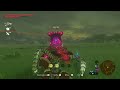huge luck right here | botw clips#16