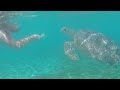 Snorkeling with Sea Turtles on Gili Trawangan Island