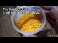 DIY Fish Food - Eggyolk For Your Fish