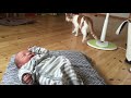 Fur-ever Friends: Cats Meet Newborn Baby for First Time