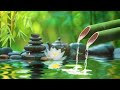 Healing Bamboo Water Fountain - Relaxing Music, Nature Sounds, Meditation Music With Water Sound