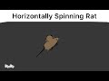 Lazy Horizontally Spinning Rat