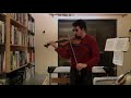 New Baroque Violin