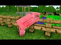 WOLF LIFE MOVIE | Cubic Minecraft Animations | All Episodes + BONUS