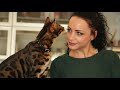 Do You Know These 6 Facts About Bengal Cats?!