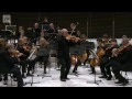 Thomas ZEHETMAIR conducts/plays Schumann Violin Concerto in D minor, WoO 23