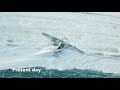 Arctic Ghost Planes
