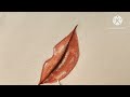 lips drawing with water colour painting 🖌️🎨#artwork #youtubevideo..#watercolor #netural..