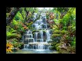 1 Hour of Relaxing Anti Stress Meditation Music Helps With Staying Calm