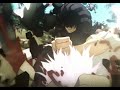 Y NOT? | JJK Season 2 [AMV/Edit] 4k