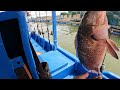 vlog#303 REKOD BARU GAISS.. STRIKE BERTUBI2 !!MANTAP#sangkarsgudang #fishing