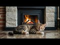 1hour-Healing | 暖炉のぬくもりと子猫の心地よいひととき A cozy moment with the warmth of a fireplace and a kitten