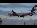 3 HRs Watching Airplanes, Aircraft Identification | Plane Spotting Frankfurt Airport [FRA/EDDF]
