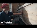 Surface Preparation for Painting a Wooden Boat | Mastering Skills