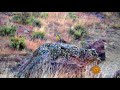 Nature: Oregon's Painted Hills