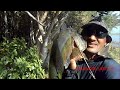 #PESCA COM ESTILINGUE: OLHA COMO É BOM TER DOIS #slingshot #fishing