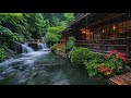 Serene Rain in a Zen Garden 🌸 Ambient Rain Sounds and Piano Music for Relaxation and Deep Sleep