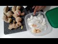 Growing store bought ginger | Interesting trick to make them root quicker