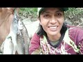 Umpannya Sederhana Khasiatnya Buat Mahseer Ngumpul