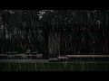 Rain Sounds For Sleeping - Rain On roof in Forest - Heavy Rain for Sleep, Study and Relaxation