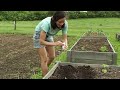 Turning our 1/8 ACRE GARDEN into a YEARS' SUPPLY OF FOOD (part 2)