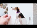 How to paint dogs the easy way 🐶 Illustration tutorial & Procreate tips and tricks for beginners