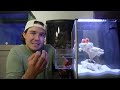 BUYING Creepy ANGLER FISH OFF THE WEB For My SALTWATER AQUARIUM!!