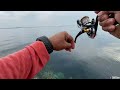 Strike Ikan tak Terduga!! Mancing Ultralight Jigging Lanbased Shore Jigging dari atas Karang Dangkal