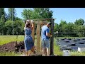 Putting up fencing and gates to keep the deer out of the berry patch! #berryfarm #fencing #michigan