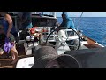 June trip to Yokohama bay to snorkel and chill for the Day. We had a blast. Oahu Sailing Hawaii