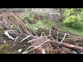 Destructive woodchuck migration run